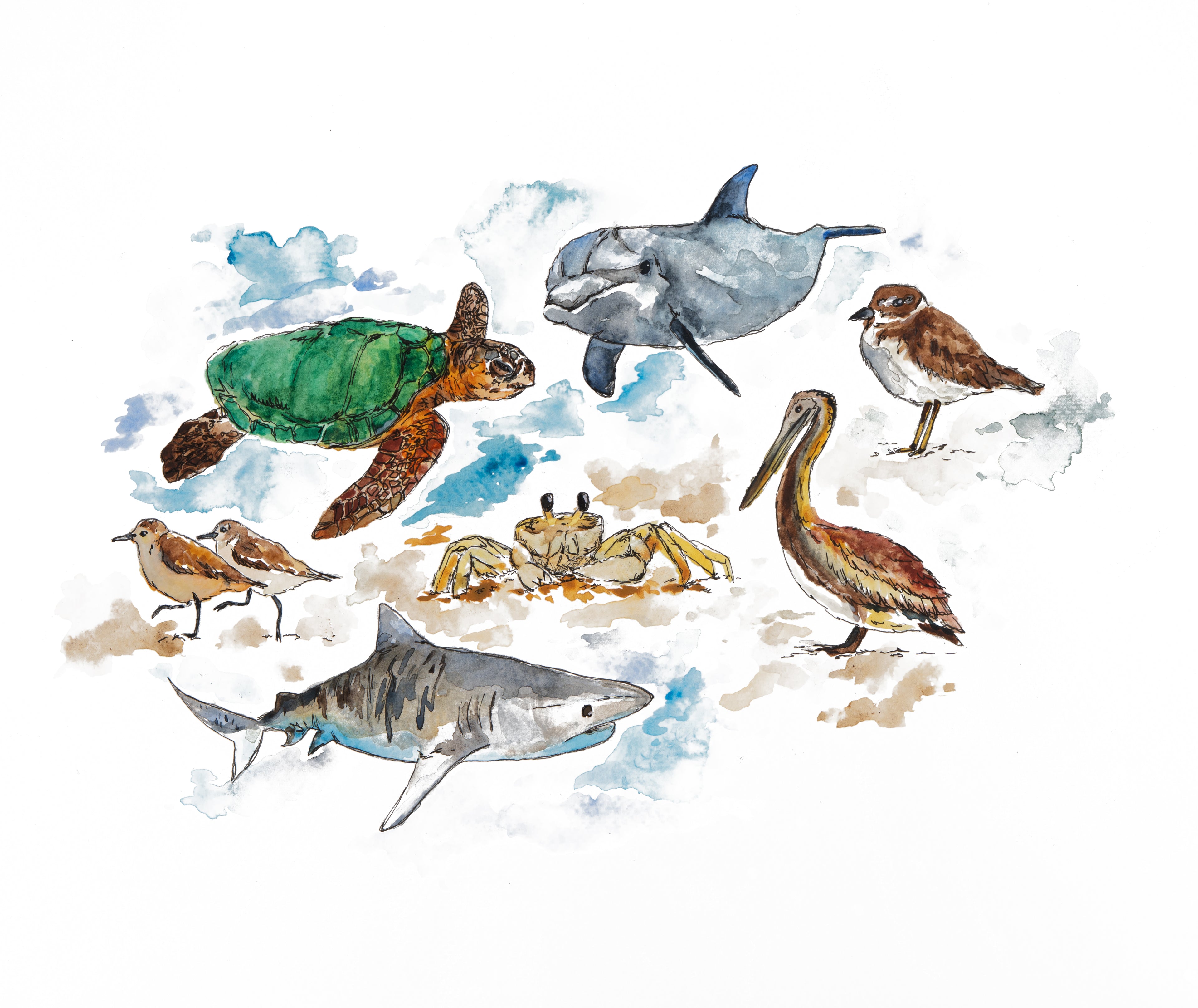 Topsail Island Animals Print