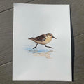 Sandpiper Watercolor Print 8"x10"
