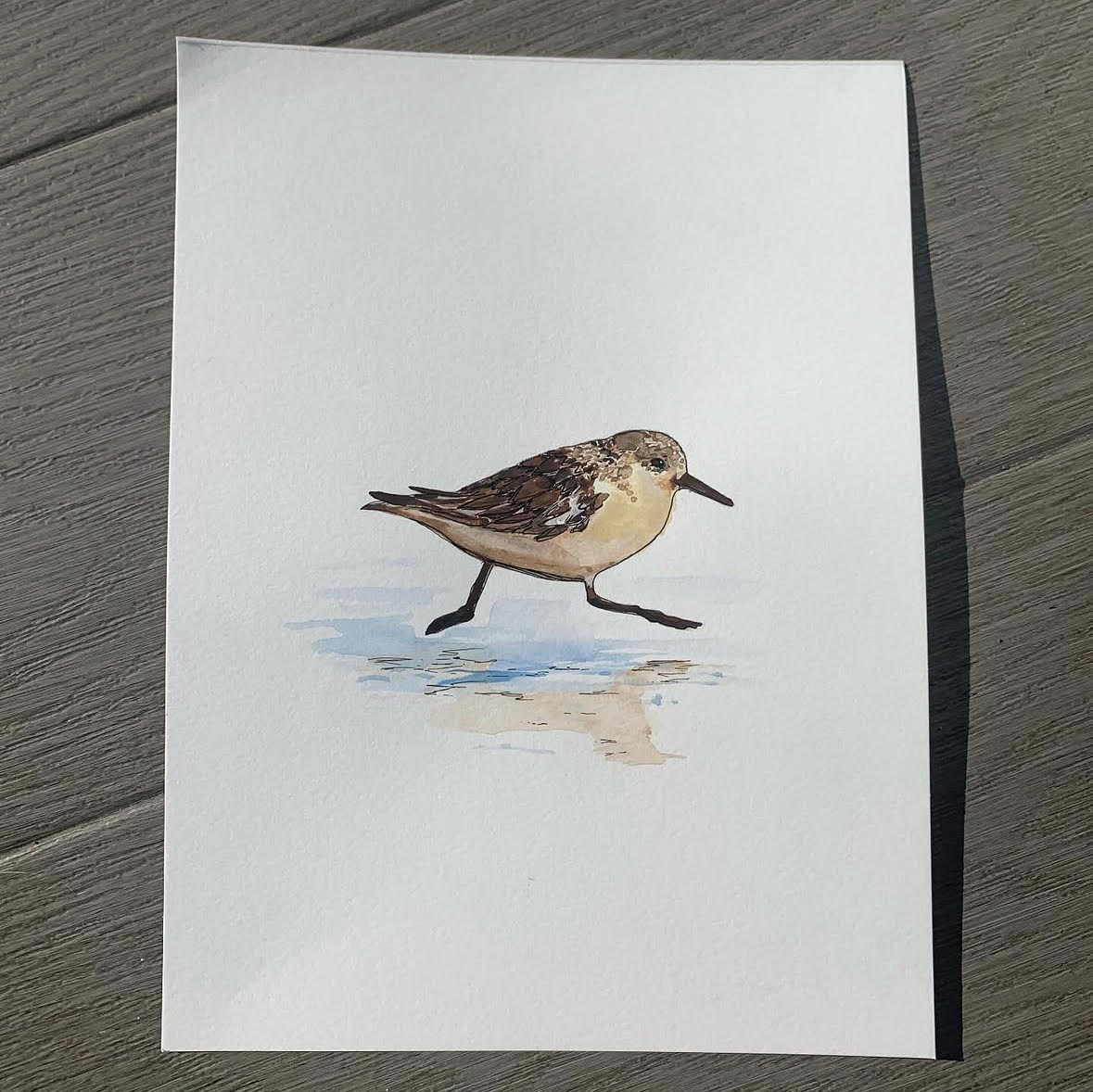 Sandpiper Watercolor Print 8"x10"